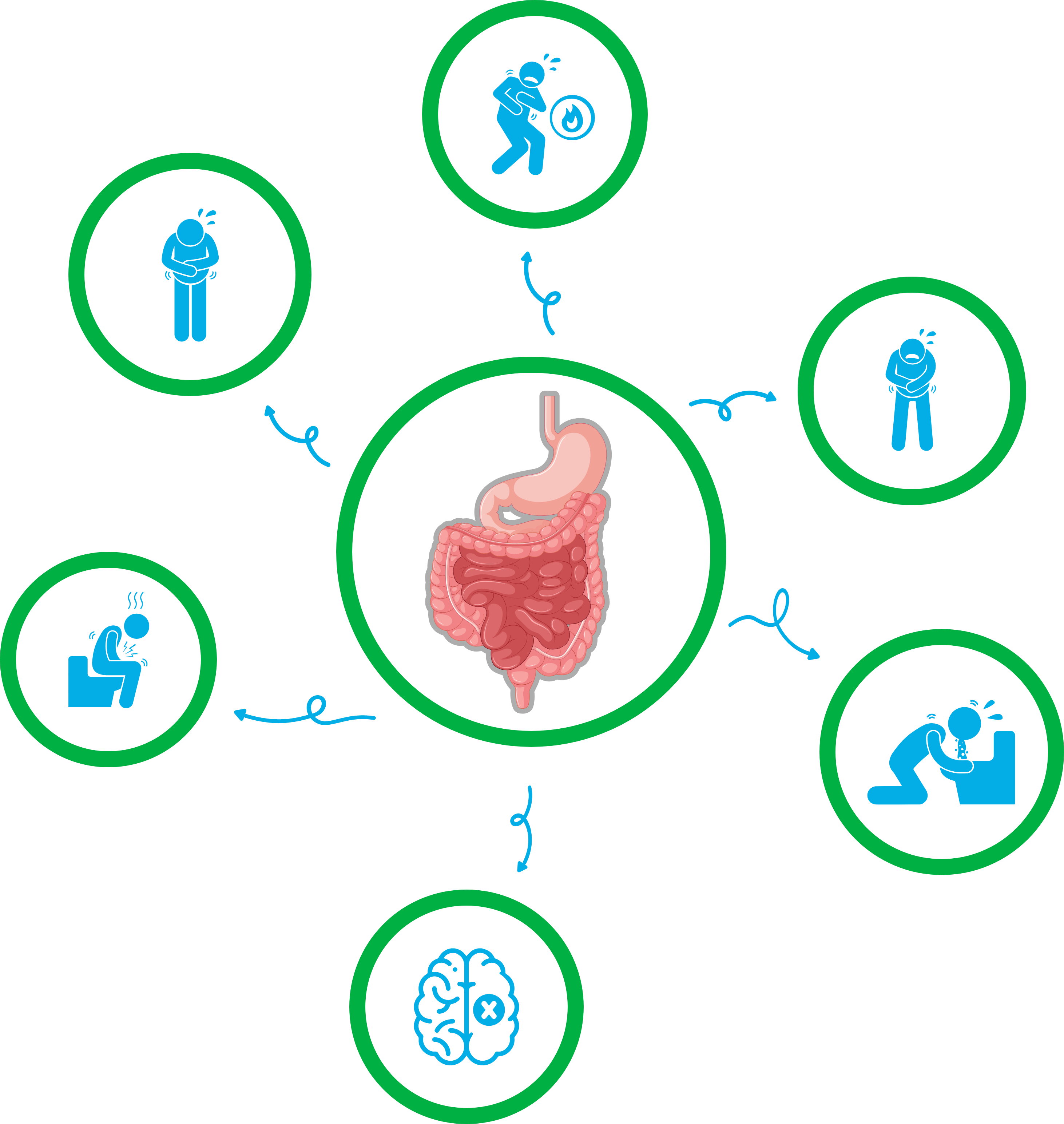 gut probiotic