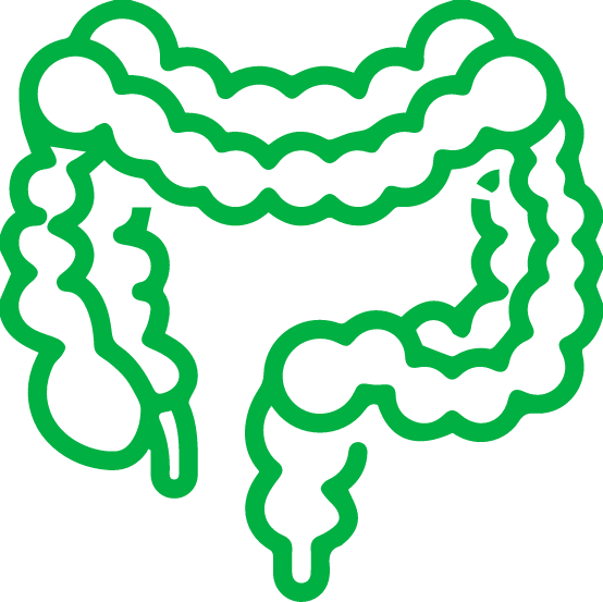 GUT the largest Microbial Environment in the human body.