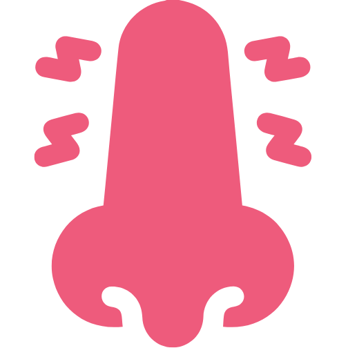 Blocked Nose
